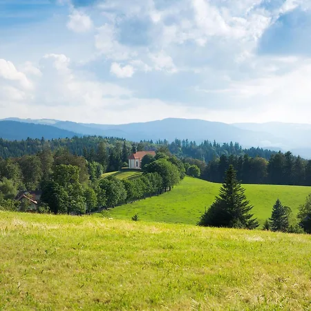 Апартаменты Meierhof, 38qm