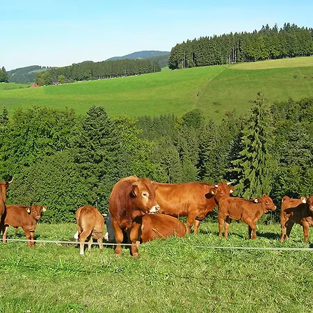 Апартаменты Meierhof, 38qm