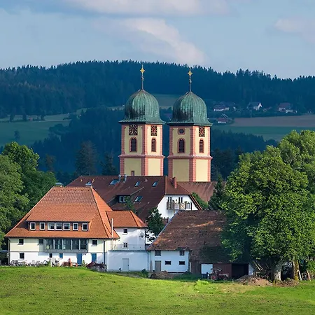 Meierhof, 38qm Апартаменты Санкт-Мерген