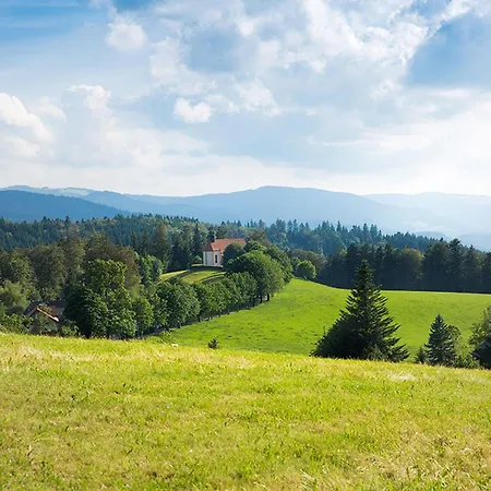 Meierhof, 38qm